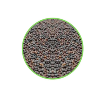 Ajwain Seed (100g) シード