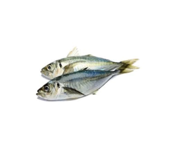 JACK-FISH-MACKEREL-280GRM