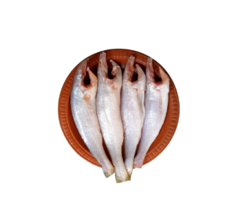 Katla Fish Cut Frozen (600g)