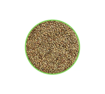 Masoor Dal with Skin (Brown Lentil Beans) (1Kg) レンズ豆は皮で茶色