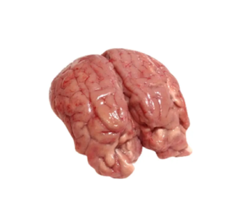 Sheep Brain (1.5kg)