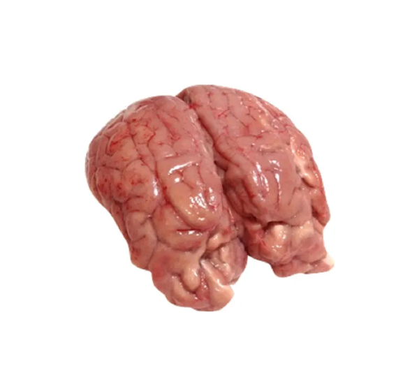 Sheep Brain (1.5kg)