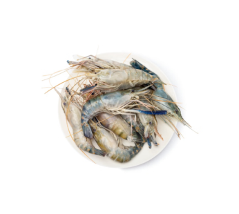 Water Shrimp (400g)