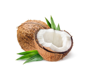 Fresh Old Coconut Whole with Water (1pcs)