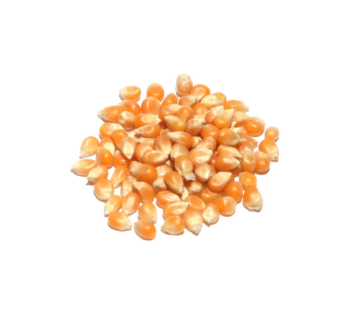 Popcorn Beans (1kg)